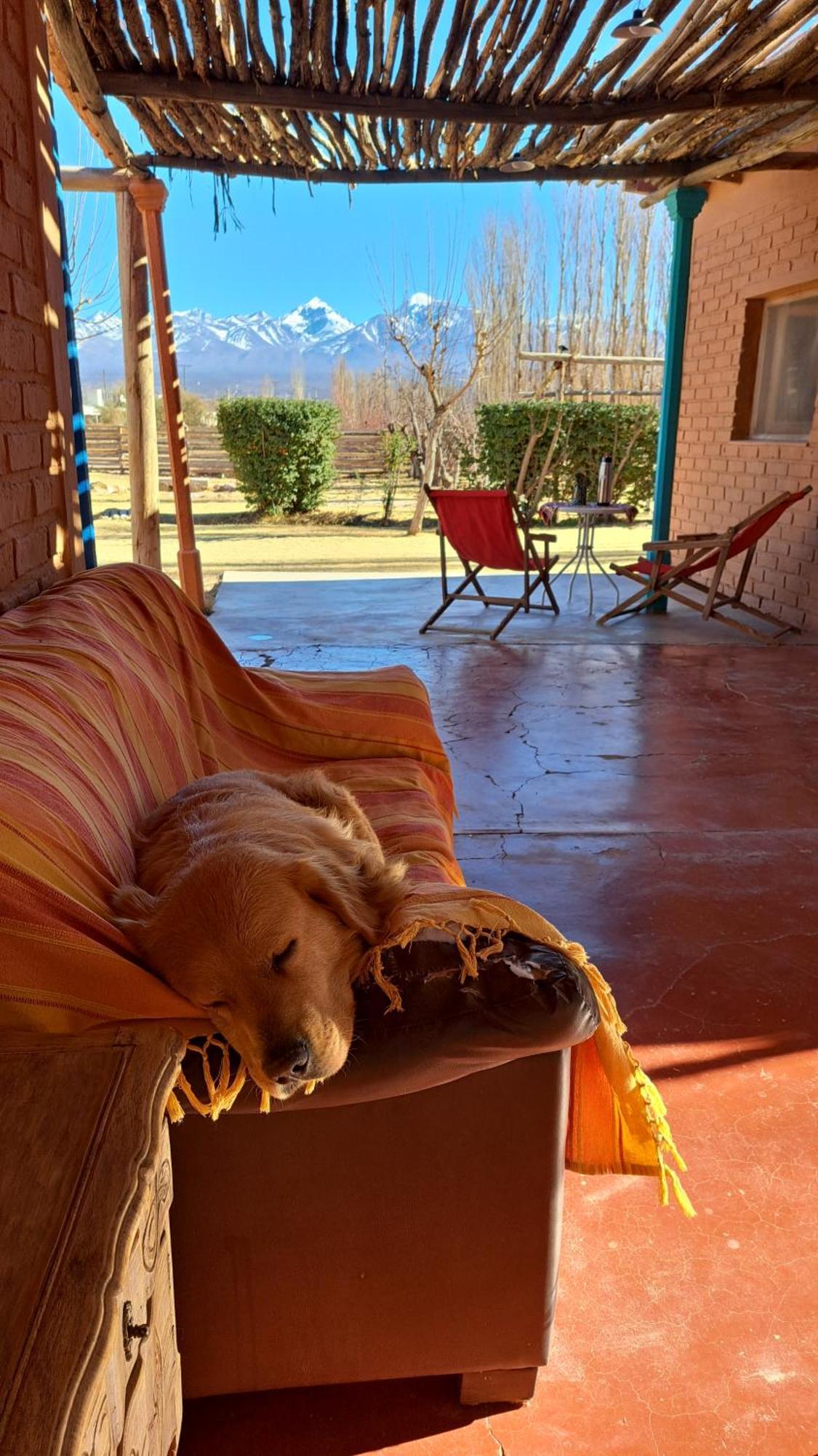Aire De Barreal Hostel Andino Eksteriør billede
