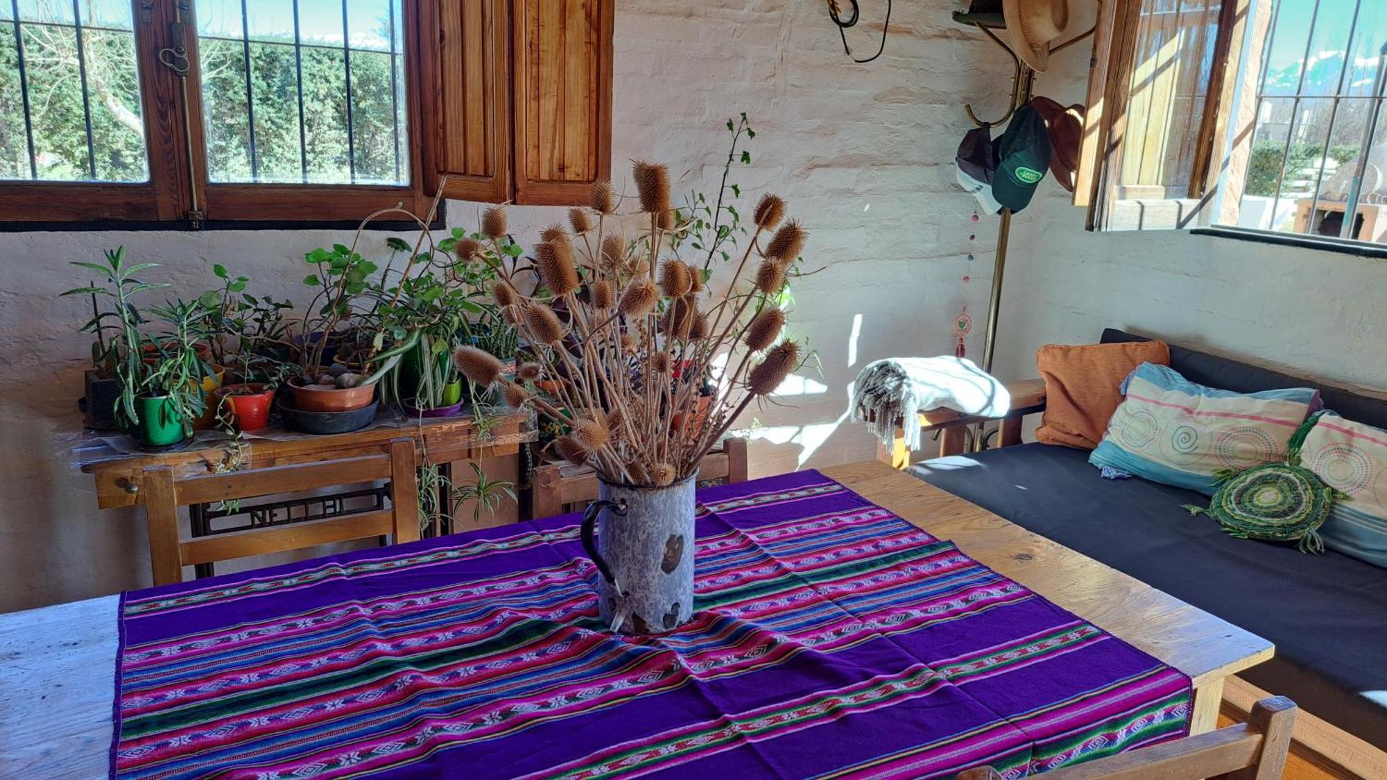 Aire De Barreal Hostel Andino Eksteriør billede